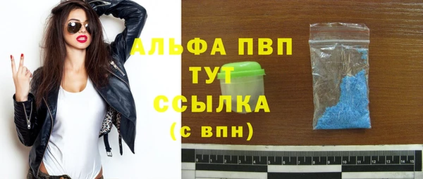 ПСИЛОЦИБИНОВЫЕ ГРИБЫ Гусев