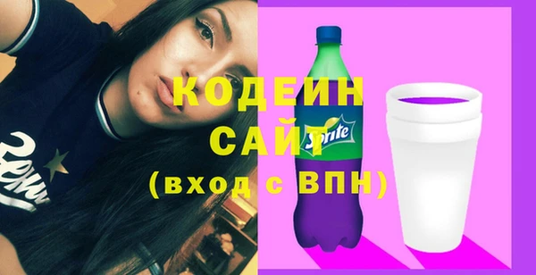 ПСИЛОЦИБИНОВЫЕ ГРИБЫ Гусев