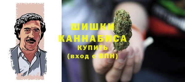соль ск Новозыбков