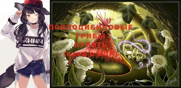 ПСИЛОЦИБИНОВЫЕ ГРИБЫ Гусев