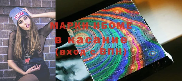 ПСИЛОЦИБИНОВЫЕ ГРИБЫ Гусев