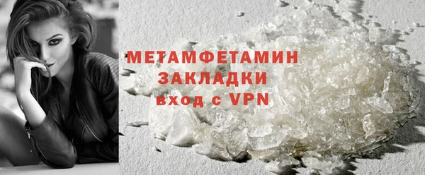 ПСИЛОЦИБИНОВЫЕ ГРИБЫ Гусев
