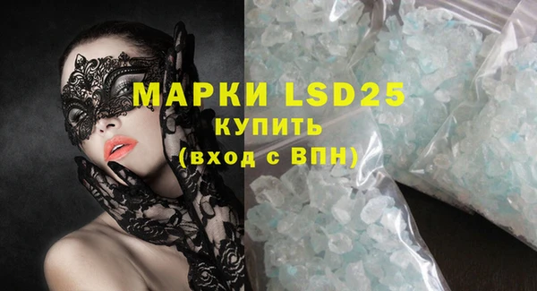 ПСИЛОЦИБИНОВЫЕ ГРИБЫ Гусев