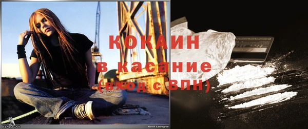 ПСИЛОЦИБИНОВЫЕ ГРИБЫ Гусев