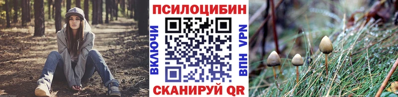 Галлюциногенные грибы мухоморы  Купить закладки  Кашира 
